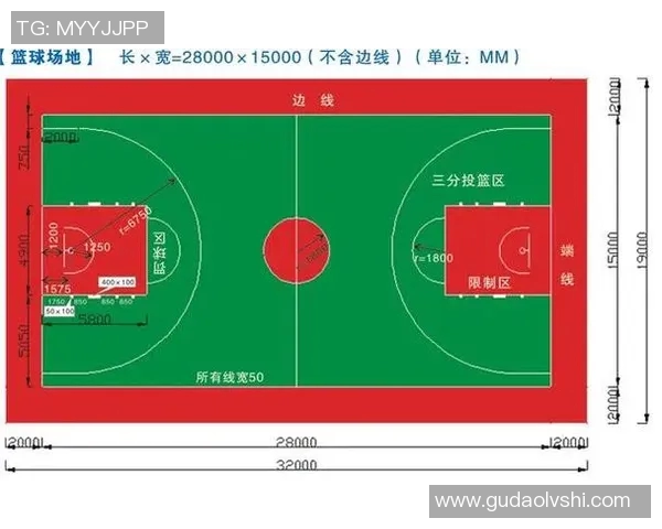 NBA球队防守策略对比与赛季整体表现深度分析研究